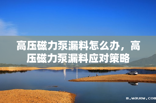 高压磁力泵漏料怎么办，高压磁力泵漏料应对策略