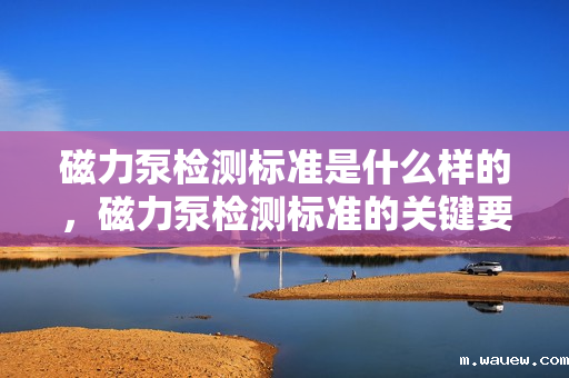 磁力泵检测标准是什么样的，磁力泵检测标准的关键要点与规范