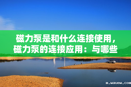 磁力泵是和什么连接使用，磁力泵的连接应用：与哪些设备共同工作以实现高效流体传输