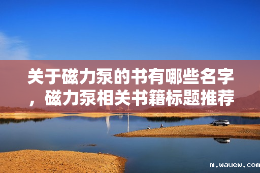 关于磁力泵的书有哪些名字，磁力泵相关书籍标题推荐：《磁力泵原理、应用与维护指南》