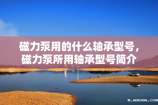 磁力泵用的什么轴承型号，磁力泵所用轴承型号简介