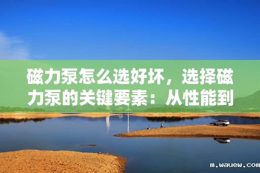 磁力泵怎么选好坏，选择磁力泵的关键要素：从性能到质量的全面评估指南