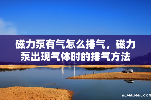 磁力泵有气怎么排气，磁力泵出现气体时的排气方法