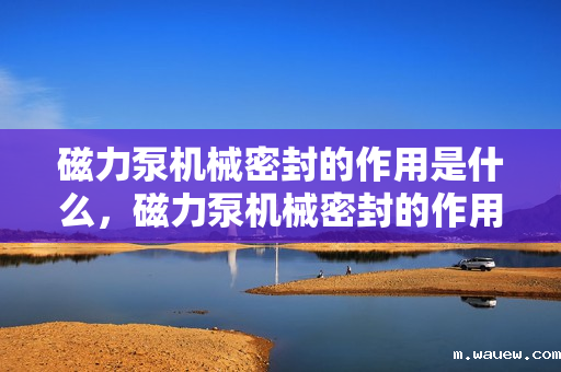 磁力泵机械密封的作用是什么，磁力泵机械密封的作用：确保泵体无泄漏运行的关键部件