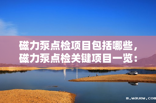 磁力泵点检项目包括哪些，磁力泵点检关键项目一览：确保运行安全与效率