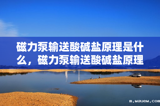 磁力泵输送酸碱盐原理是什么，磁力泵输送酸碱盐原理简述：无泄漏传输的关键技术