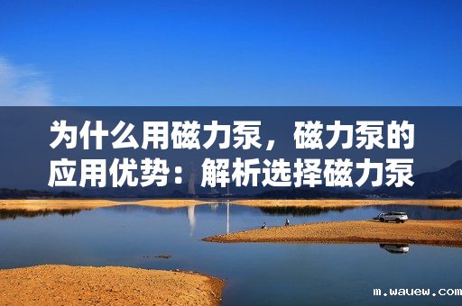 为什么用磁力泵，磁力泵的应用优势：解析选择磁力泵的关键原因