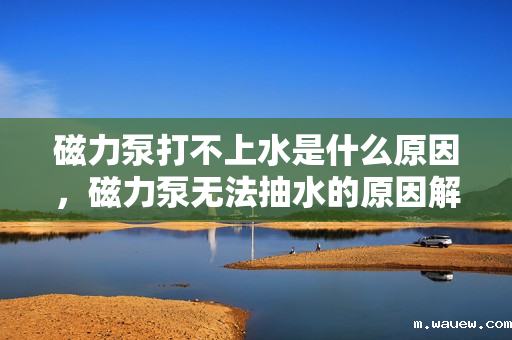 磁力泵打不上水是什么原因，磁力泵无法抽水的原因解析