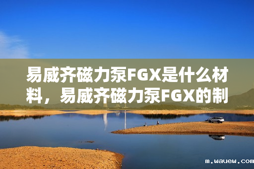 易威齐磁力泵FGX是什么材料，易威齐磁力泵FGX的制造材料解析