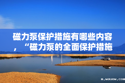 磁力泵保护措施有哪些内容，“磁力泵的全面保护措施：确保安全与高效运行的关键策略”