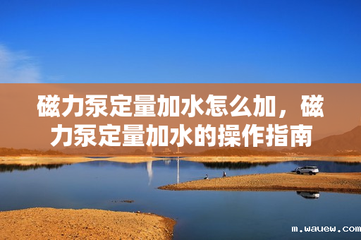 磁力泵定量加水怎么加，磁力泵定量加水的操作指南