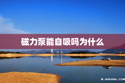 磁力泵能自吸吗为什么