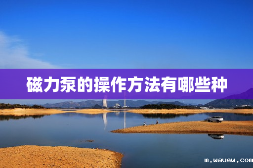 磁力泵的操作方法有哪些种