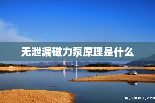 无泄漏磁力泵原理是什么