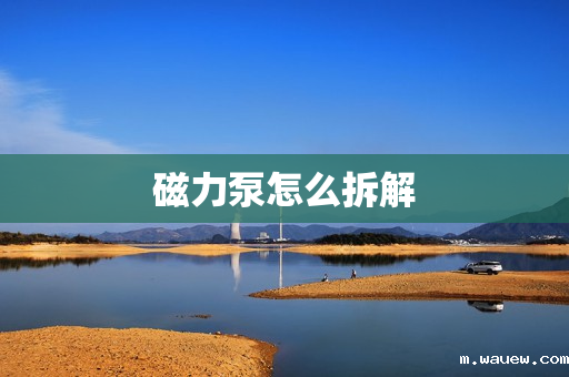 磁力泵怎么拆解