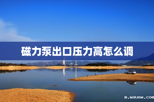 磁力泵出口压力高怎么调