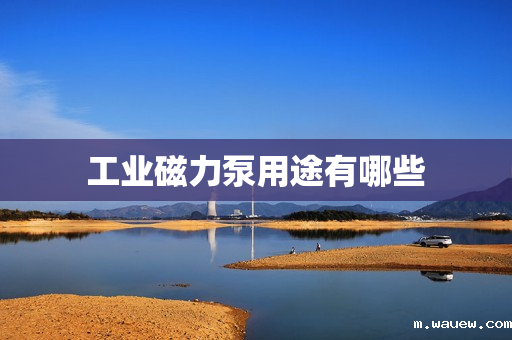 工业磁力泵用途有哪些