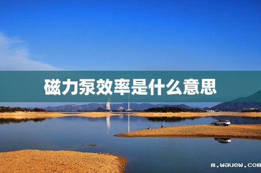 磁力泵效率是什么意思