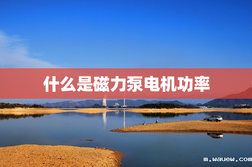 什么是磁力泵电机功率