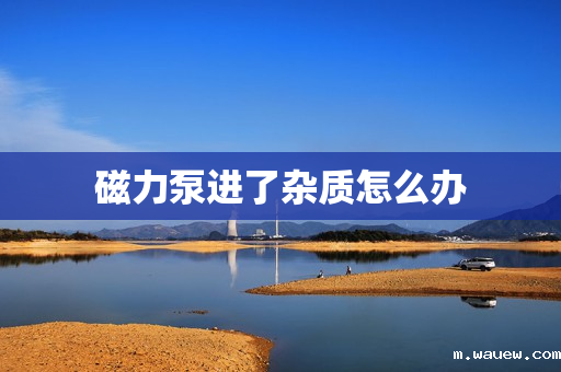 磁力泵进了杂质怎么办