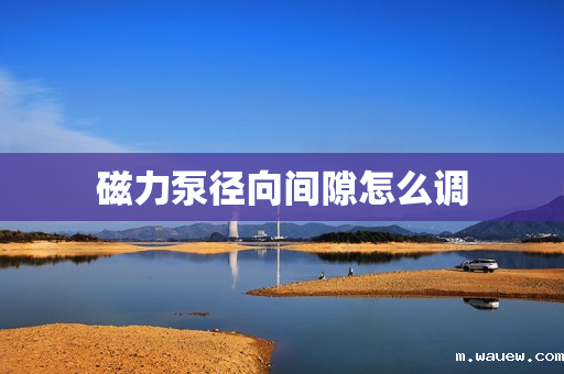 磁力泵径向间隙怎么调