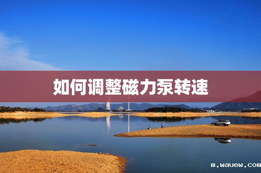 如何调整磁力泵转速