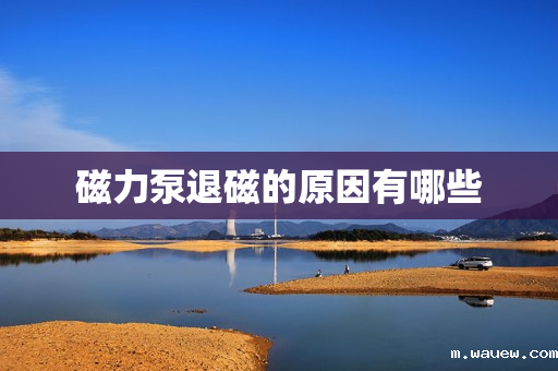 磁力泵退磁的原因有哪些