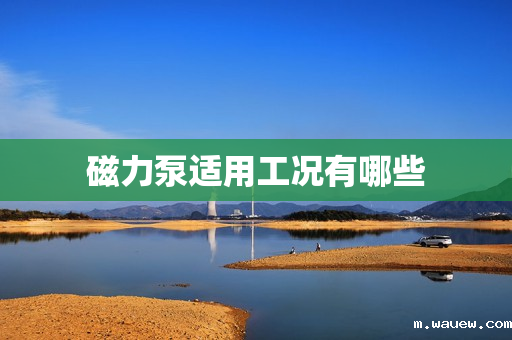 磁力泵适用工况有哪些