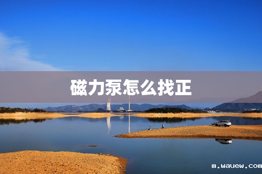 磁力泵怎么找正