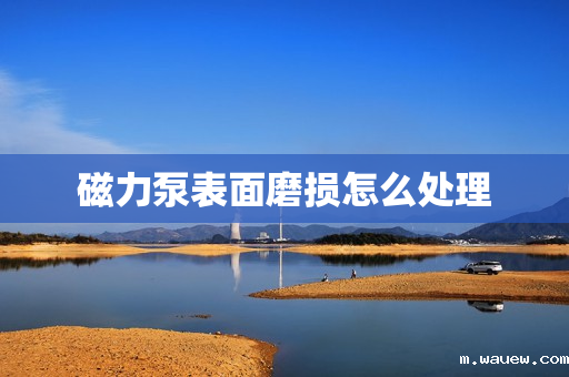 磁力泵表面磨损怎么处理