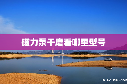 磁力泵干磨看哪里型号