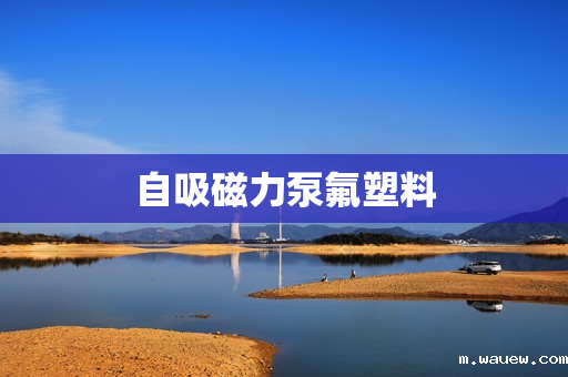 自吸磁力泵氟塑料