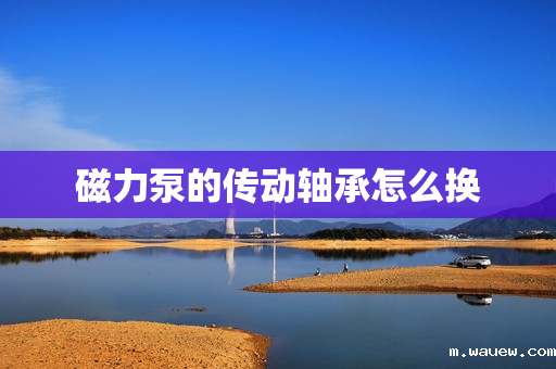 磁力泵的传动轴承怎么换