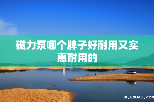 磁力泵哪个牌子好耐用又实惠耐用的