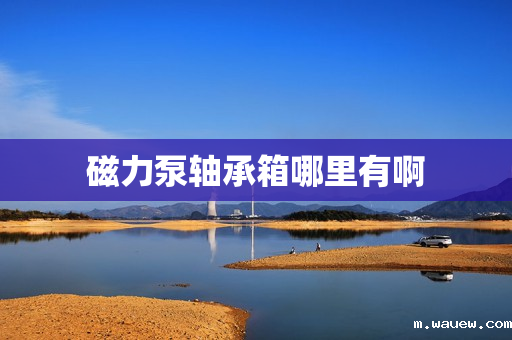 磁力泵轴承箱哪里有啊