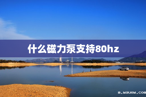 什么磁力泵支持80hz