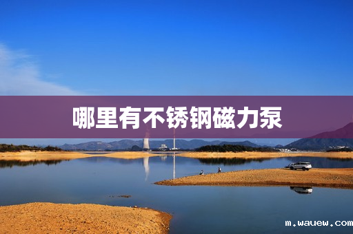 哪里有不锈钢磁力泵