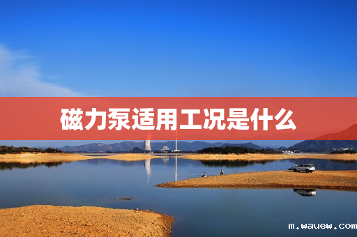 磁力泵适用工况是什么