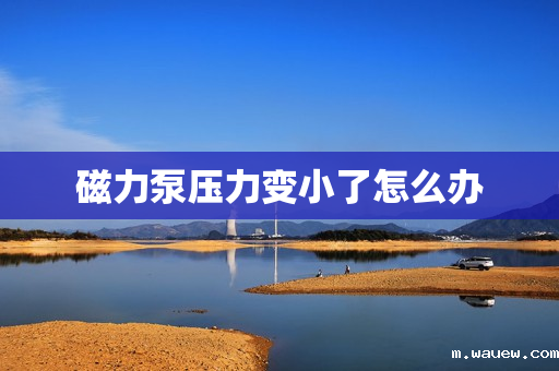 磁力泵压力变小了怎么办