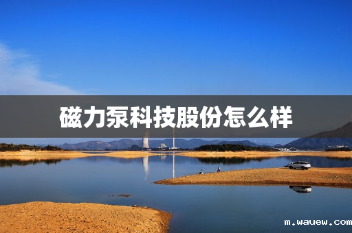 磁力泵科技股份怎么样