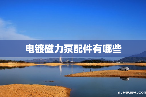 电镀磁力泵配件有哪些