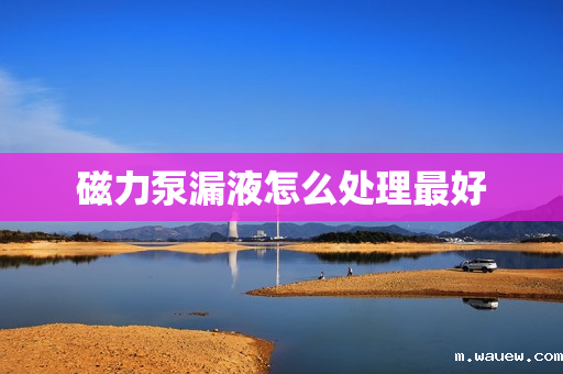 磁力泵漏液怎么处理最好