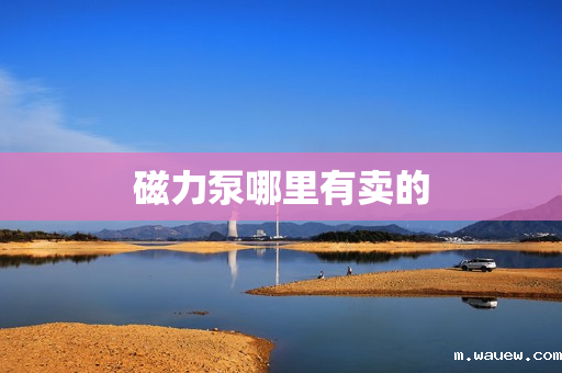 磁力泵哪里有卖的