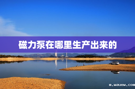 磁力泵在哪里生产出来的