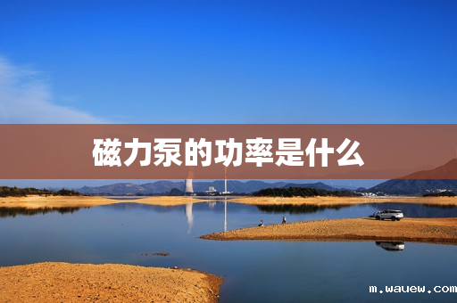 磁力泵的功率是什么