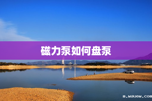 磁力泵如何盘泵