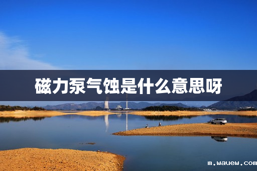 磁力泵气蚀是什么意思呀