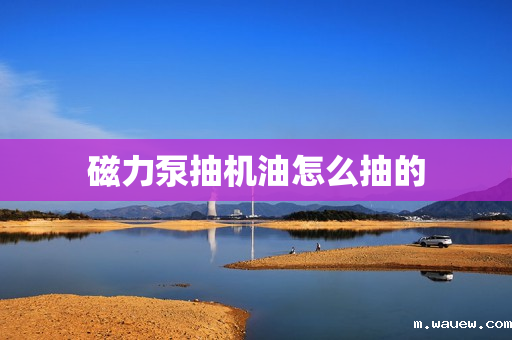 磁力泵抽机油怎么抽的