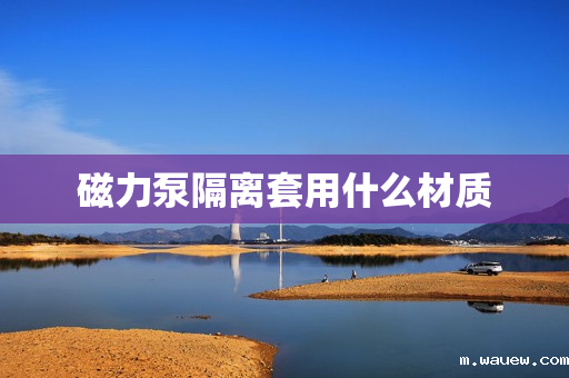 磁力泵隔离套用什么材质