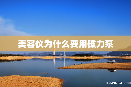 美容仪为什么要用磁力泵